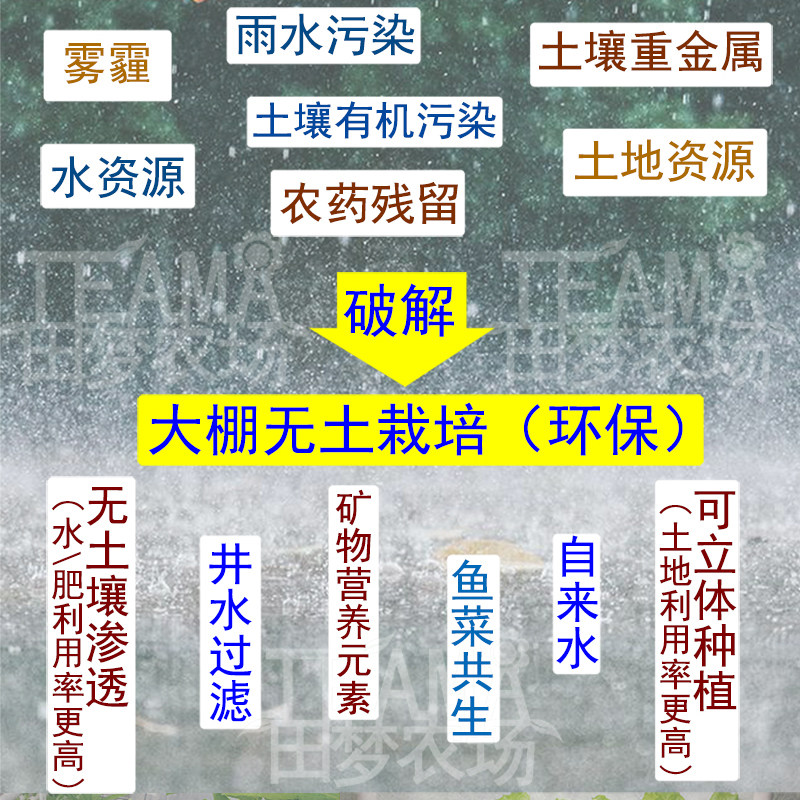 常规自动水培种菜神器 阳台无土栽培管道四层两排草莓蔬菜种植架