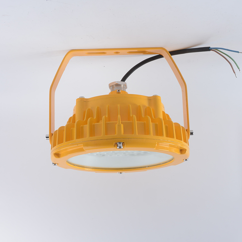 led防爆灯50W70W吊杆式防水防腐圆形工厂灯 100W免维护隔爆吸顶灯