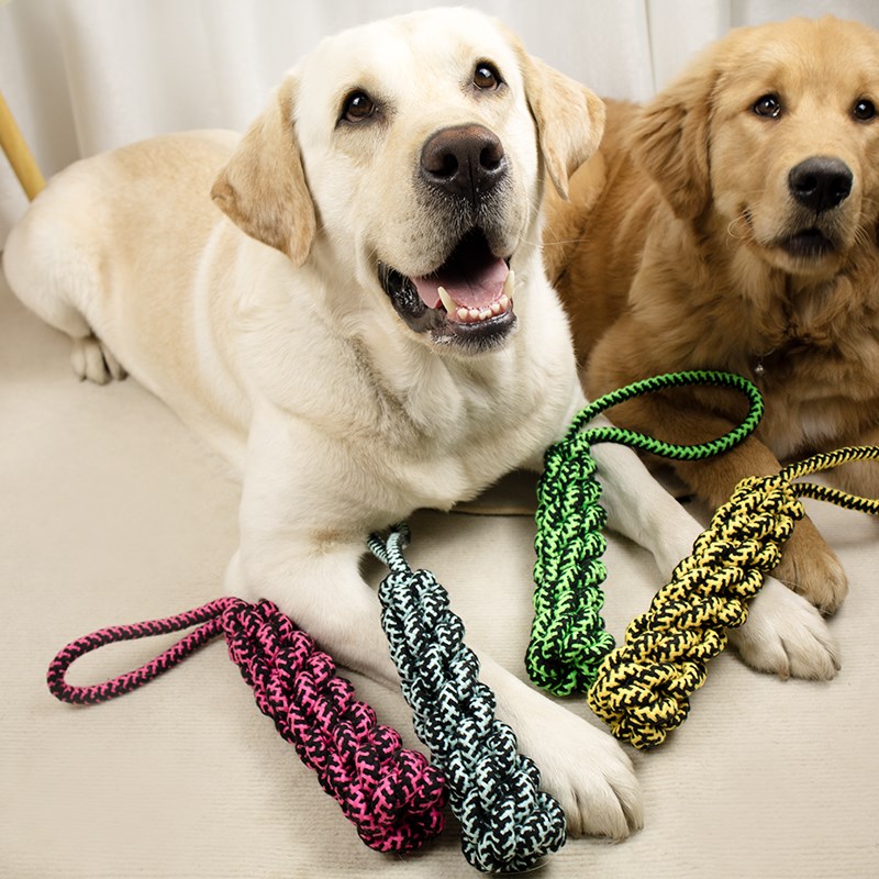 狗狗玩具耐咬绳结互动拉扯磨牙棒中大型犬狗咬绳金毛大狗洁齿玩具