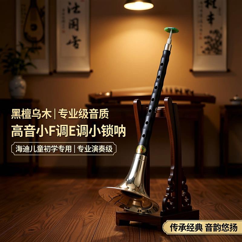 唢呐乐器全套专业黑檀乌木小G调高音小F调E调小锁呐海迪儿童初学