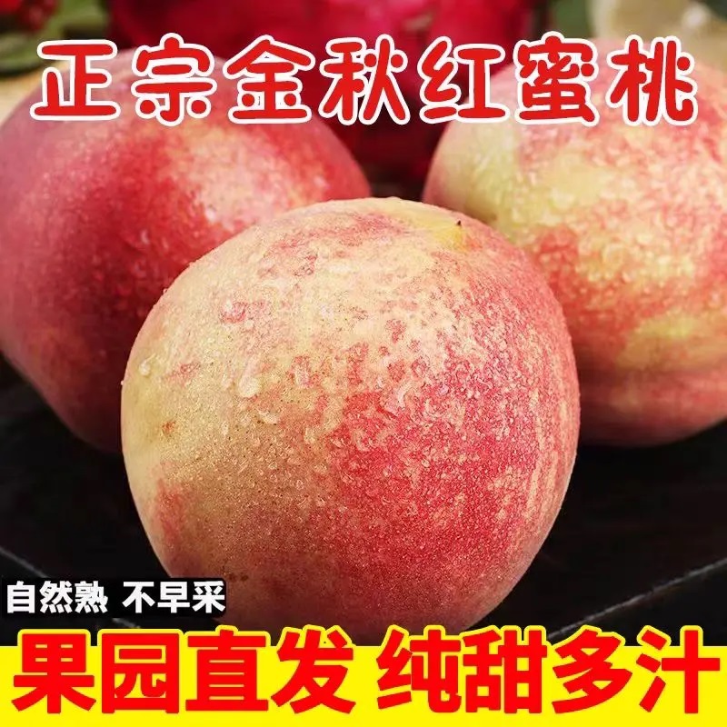 【仅限15天】正宗山东蒙阴金秋红蜜桃新鲜现摘应季水果脆甜多汁 Q