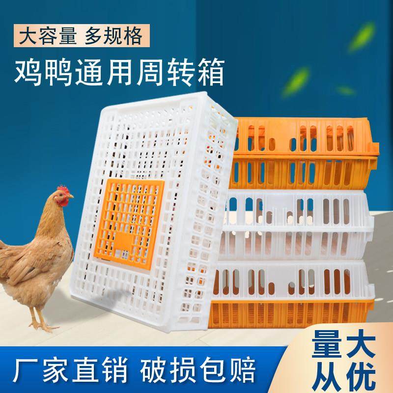 鸡笼运输笼塑料家禽周转箱筐成鸡鸭鹅鸽子笼子家用大号兔笼养殖笼,畜牧/养殖物资,畜牧/养殖器械,淘宝优惠券,粉丝福利购,淘宝优惠卷
