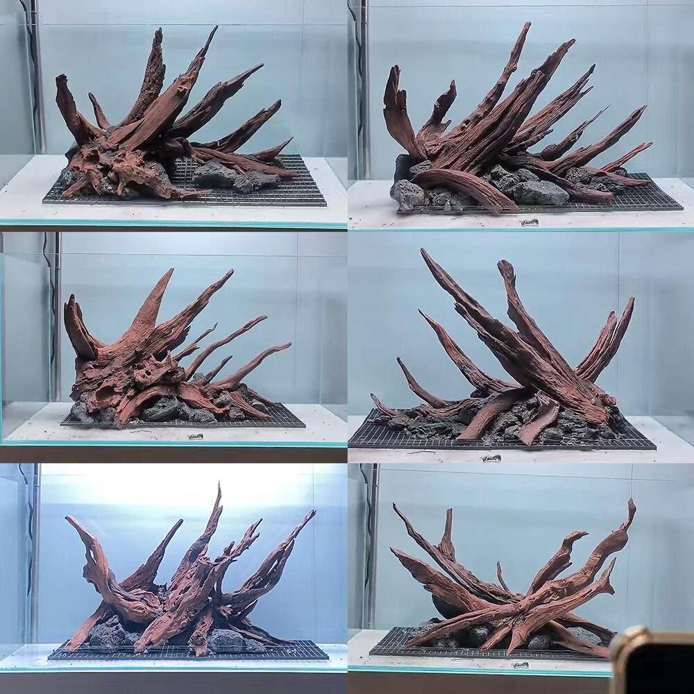 沉木枝条南美风格紫柚木小缸鱼缸造景