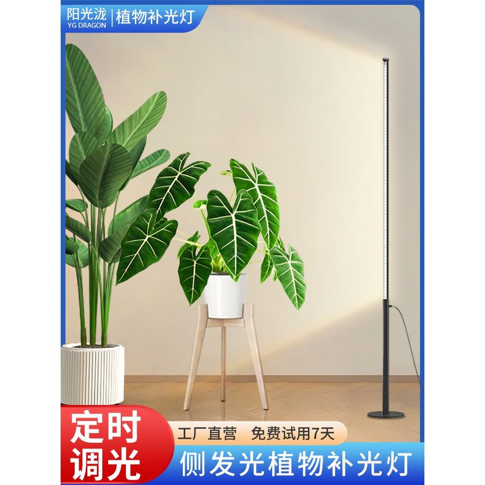 落地式植物补光灯侧发光植物灯热植模拟日照全光谱彷太阳光生长灯