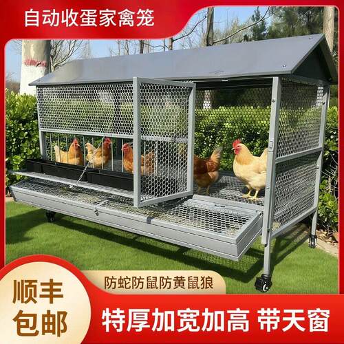 鸡笼子家用室外防雨自动收蛋防啄防黄鼠狼防鼠加厚不锈下蛋养殖笼