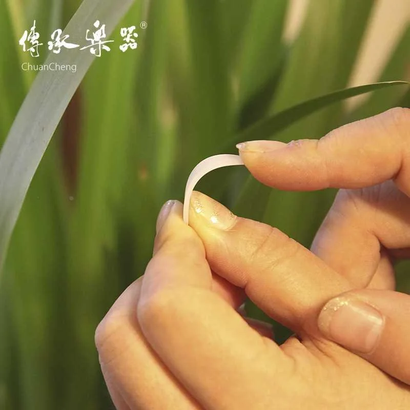 传承牌推荐软性蝉翼白色古筝练指甲习初学者成人大号8新品