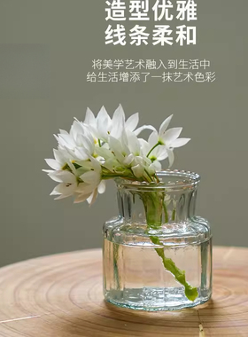 舍里创意花瓶客厅插花小摆件装饰品透明玻璃器皿水养植物水培花器