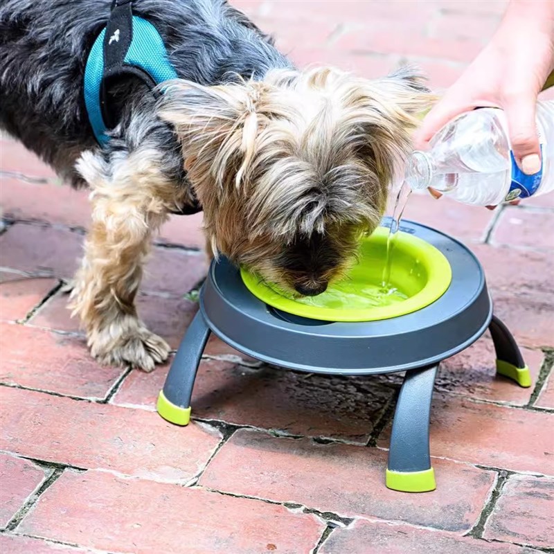 热销布丁妹妹DEXAS宠物折叠碗架宠物碗防打翻狗碗食盆大容量高脚