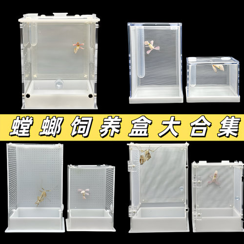 螳螂饲养盒磁吸开门造景活体昆虫树蛙爬虫鸣虫跳蛛宠物饲养箱网箱