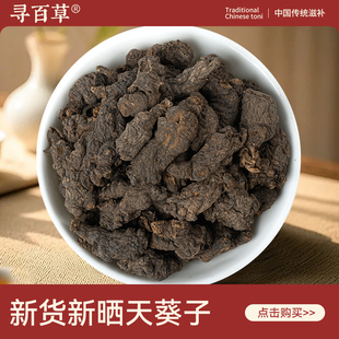 寻百草天葵子中药材500g野生新货正品紫背天葵子精选无硫天葵子个