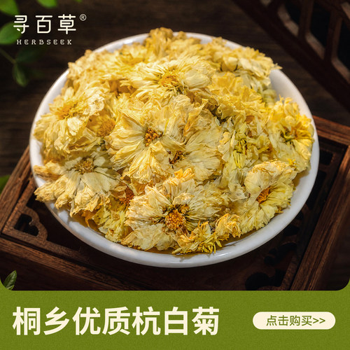 寻百草正宗桐乡杭白菊250克