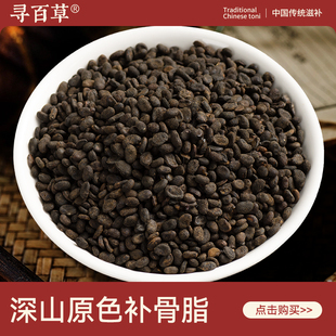 寻百草野生补骨脂药材500g官方正品补骨脂野生中药材破故纸婆新货