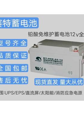 赛特BT-12M-100/12V100AH65A40A38A24A20A17A12A7A消防主机蓄电池