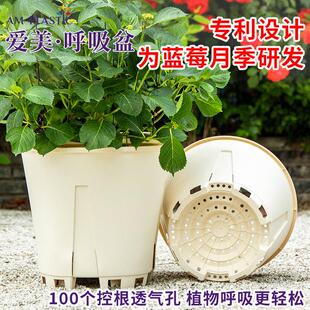 爱美蓝莓专用盆无花果月季果树7加仑大号控根透气青山盆塑料花盆