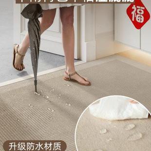 入户门玄关地垫家用进门门口轻奢简约现代地毯门外免洗可裁剪脚垫
