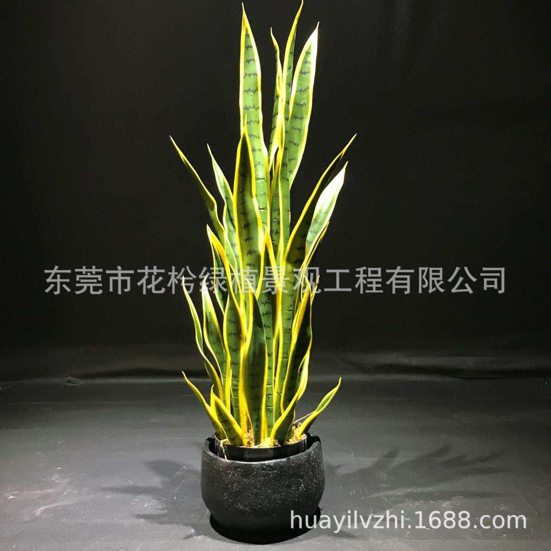 仿真虎皮兰叶片盆栽盆景虎皮兰黄边过胶假叶龙舌兰绿植物仿真绿植,3C数码配件,USB灯,淘宝优惠券,粉丝福利购,淘宝优惠卷