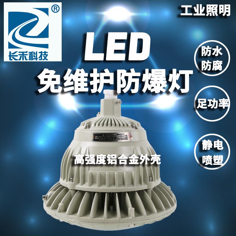 长禾照明LED防爆路灯100wLED防爆灯80w100w120w法兰立杆免维护