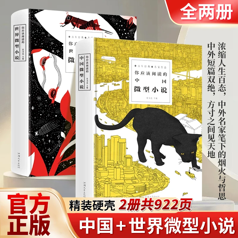 你应该阅读的中国+世界微型小说 百年经典名家作品文学短篇专属JL