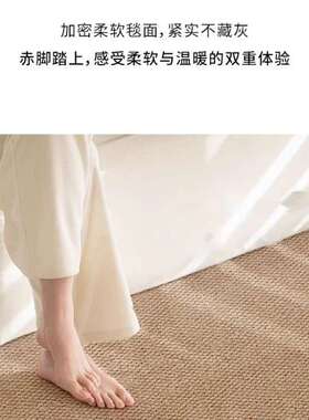 剑区麻阳台榻榻米垫子仿防KPS晒地垫大面积铺全休闲布置飘窗地毯