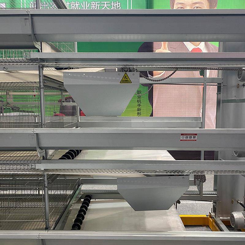 畜牧养殖全自动智能化FVR梯阶式捡机大规蛋模养殖集蛋器