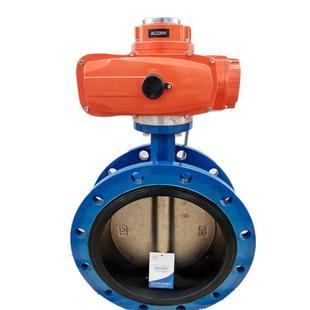 100150200300400 16Qdn 潜水式 水下地下电动法兰蝶阀阀门D941X