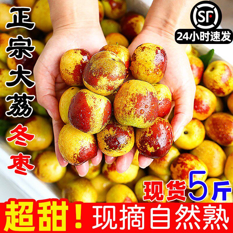 ii陕西大荔冬枣新鲜水果应当季