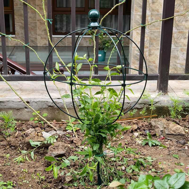 铁艺阳台花架爬藤架月季室外铁线莲球兰风车茉莉棒棒糖花架子