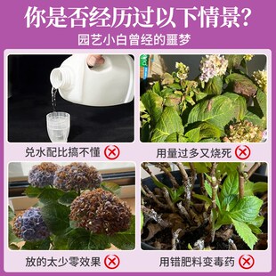 绣球花专用肥料花肥黄叶绣球花营养液催花开花肥叶面肥水溶肥