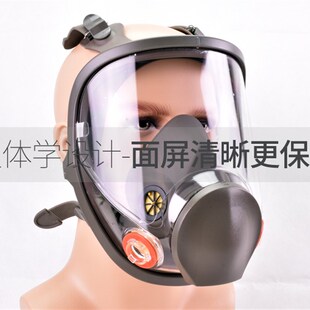 防尘 输气供气式 防毒 甲醛多功能 喷漆专用 防毒面具 6800全面罩