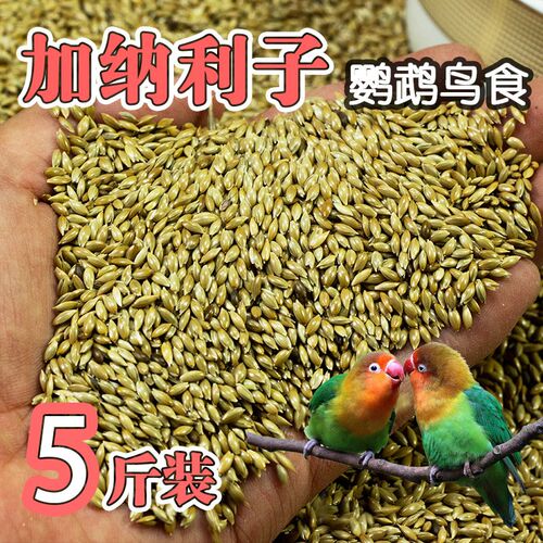 鸟食牡丹鹦鹉虎皮玄凤鹦鹉饲料专用鸟粮金丝雀芙蓉加纳利子白尖粟