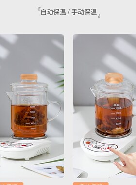 多功能迷你养生壶电炖杯办公室煮茶神器宿舍学生电热烧水杯1人2用
