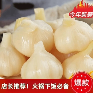 500g糖蒜新蒜正宗大头蒜厂家直销咸菜酱菜泡菜批发12个月甄选美味