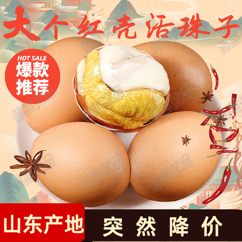 活珠子山东大个红皮整箱批发鸡蛋麻辣毛蛋新鲜13天五香味钢化蛋
