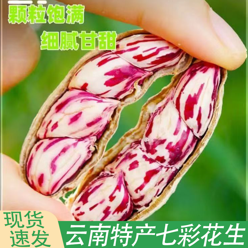 云南土特产七彩花生新鲜晒干带壳花生米皮薄易剥自然成熟粒粒饱满