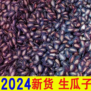 生西瓜子中片大片新疆特产打瓜籽黑瓜子大板瓜子散装未加工生瓜子