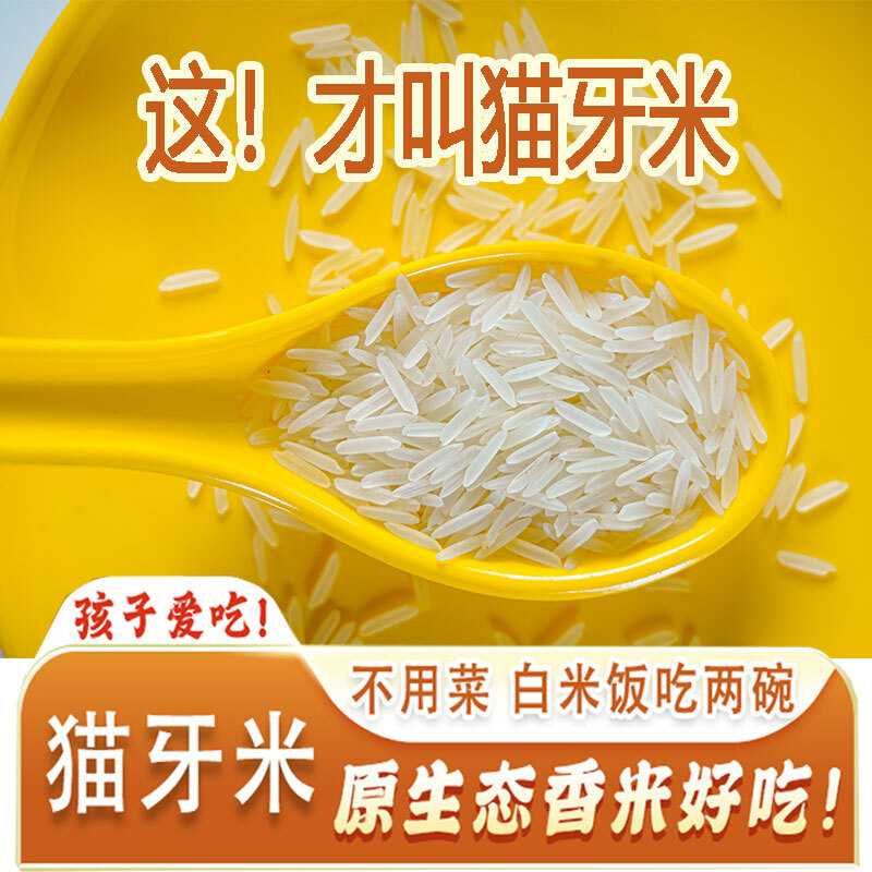 小包装猫牙米长粒香大米新米2024年丝苗正宗泰国香米形状5斤