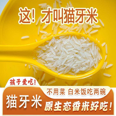 小包装猫牙米长粒香大米新米2024年丝苗正宗泰国香米形状5斤