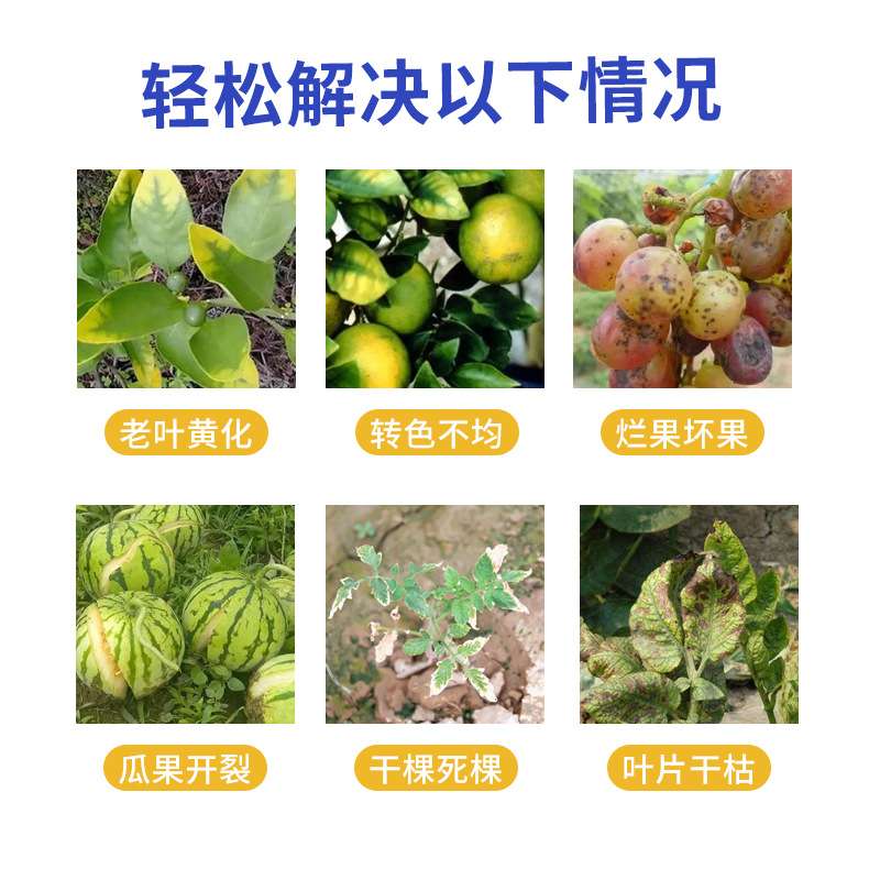 13元素肥果树花卉水稻小麦防冻钙镁硼锌铁中微量元素叶面肥喷施