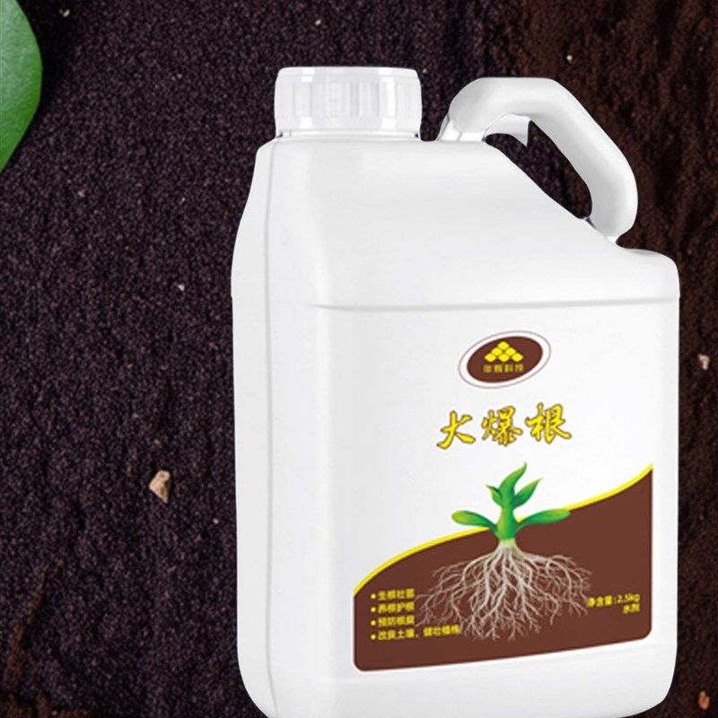 年辉大爆根-生根膨果桶装冲施肥果树蔬菜蔬菜生根壮苗增产增收,鲜花速递/花卉仿真/绿植园艺,家庭园艺肥料,淘宝优惠券,粉丝福利购,淘宝优惠卷