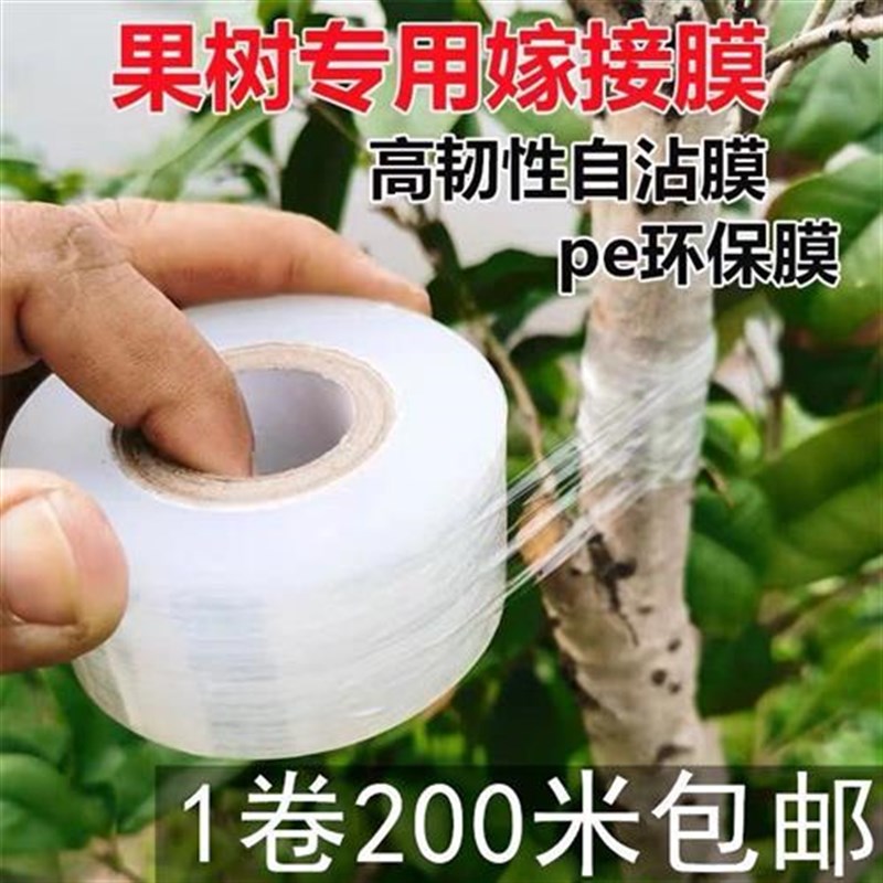 专业PE嫁接膜苗木果树专用膜缠绕膜自粘打L包膜免打结透明拉伸薄