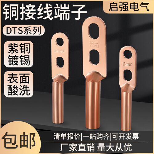 双孔铜鼻子国标加厚镀锡铜过渡接线端子双眼DTS-16/25/35/5Y07040