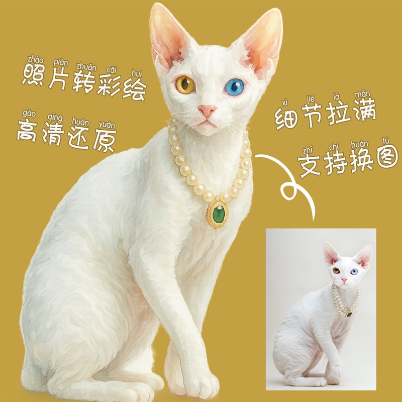 宠物纪念罐火化猫狗定制骨灰盒陶瓷殡葬用品实木照片相框棺材纪念