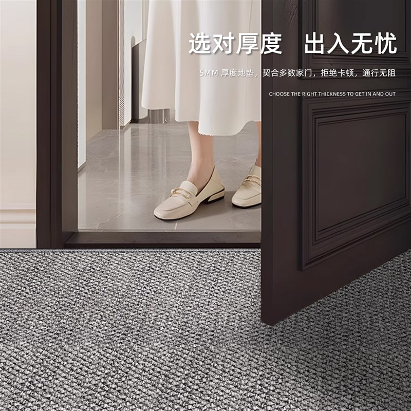2025新款入户门地垫高级地毯现代简约门垫进门家用玄关客厅脚垫