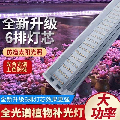 振安 多肉d补光灯家用上色仿太阳全光谱LED植物生长灯室内绿植花