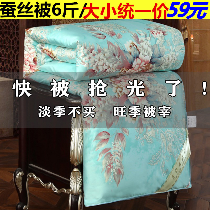 可水洗100%桑丝全棉被子春秋被芯加厚冬被单人S双人空调被夏被礼