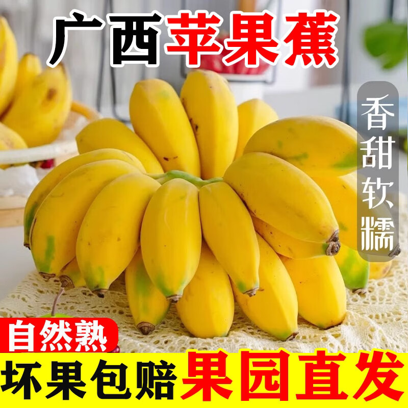正宗广西苹果蕉新鲜水果当季香蕉平果粉蕉芭蕉自然熟现摘现发整箱