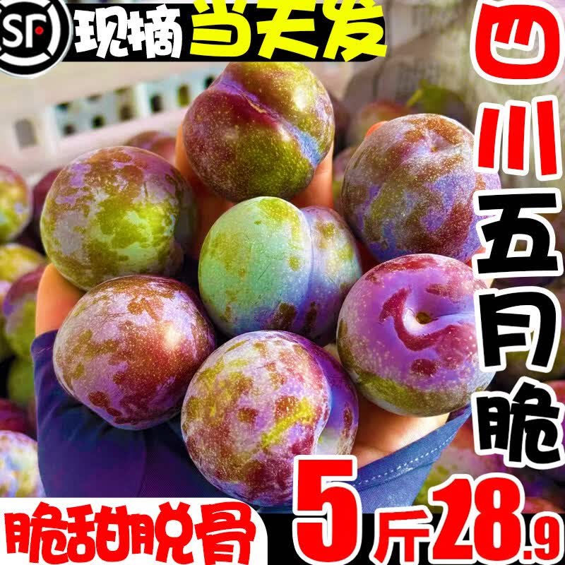正宗四川李子五月脆茵红李半边红新鲜水果孕妇水果当季青红脆整箱