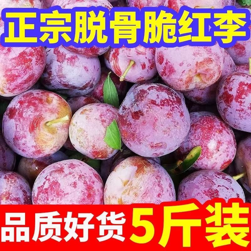 四川脱骨李子青脆李子茵红李空心李土半边红新鲜当季孕妇脆甜水果