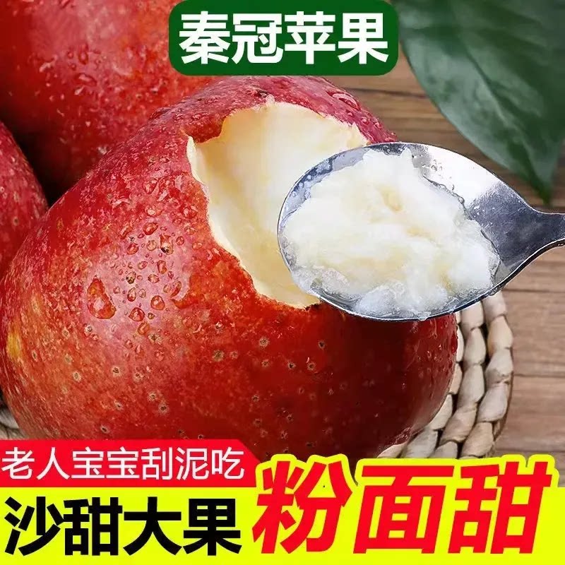 陕西老树秦冠苹果粉面沙甜当季新鲜水果老人宝宝辅食可刮泥粉苹果