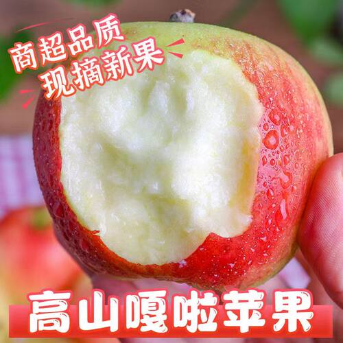正宗陕西嘎啦苹果水果新鲜10斤当应季脆甜红嘎啦加力冰糖高山嘎啦